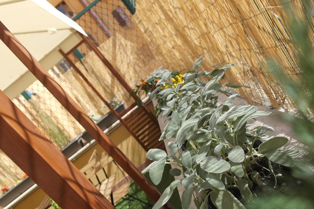 Candia Green House B&B Rome Luaran gambar